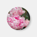 Recherche de pivoine magnets Fleurs roses