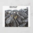 Recherche de vieux mur cartes postales Pierre