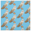 Recherche de chouette loisirs créatifs Barn owl