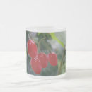 Recherche de haie tasses Vert