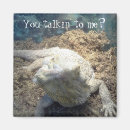 Recherche de oreilles magnets Animaux