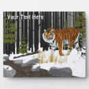 Recherche de amur Nature