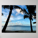 Recherche de fidji art Palmiers