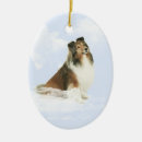 Recherche de chien de berger de shetland ornements Animaux familiers