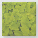 Recherche de chartreuse dessous de verres Couleur solide