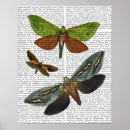 Recherche de mouche art Fleurs