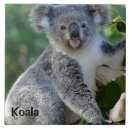 Recherche de koala carreaux Mignon
