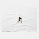 Recherche de araignées cuisine linges Arachnid