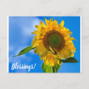 Recherche de salutation de tournesol posters Salutations