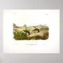 Recherche de vole posters Illustration