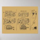 Recherche de homard vintage posters Crabes