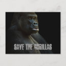 Recherche de gorille sauvage cartes postales Ape