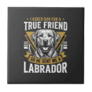 Recherche de amis carreaux Chien