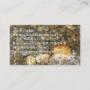 Recherche de galets cartes visite Pierre