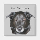 Recherche de extracteur magnets Mignon