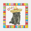 Recherche de chien terre neuve magnets Newfie