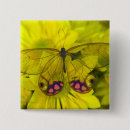 Recherche de de papillons carrés badges Plante