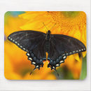 Recherche de papillon jaune et noir tapis souris Fleur
