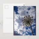 Recherche de nuageux cartes postales Campagne