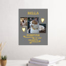 Recherche de mémorial chat posters Amoureux des animaux