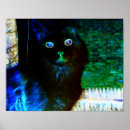 Recherche de chats effrayants posters Halloween