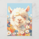 Recherche de alpaga blanc cartes postales Pour tous