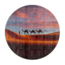 Recherche de chameaux dessous de verres Paysage