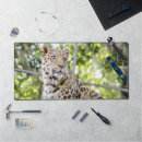 Recherche de chats jungle tapis souris Léopard