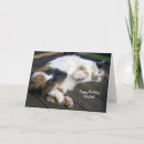 Recherche de calicot vœux cartes Chat de calicot