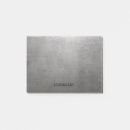 Recherche de métal balayé posters Aluminium