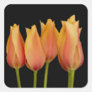 Recherche de tulipes autocollants Fleurs