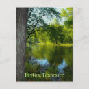 Recherche de arbre vert cartes postales Extérieur