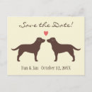 Recherche de chocolat labrador invitations Chien