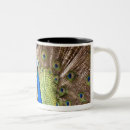 Recherche de plumage tasses Faune