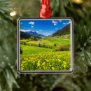 Recherche de suisse ornements Fleur