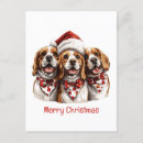Recherche de dessin beagle cartes postales Chiot