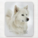 Recherche de chien esquimau Animaux familiers