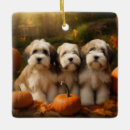 Recherche de terrier tibétain ornements Chiot