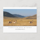 Recherche de champ cartes postales Automne