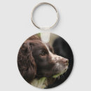 Recherche de springer spaniel porteclés Espagne de springer anglais