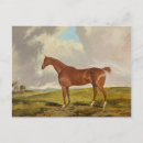 Recherche de 1840 cartes postales Cheval