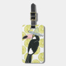 Recherche de toucan Mexique