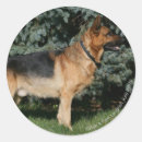 Recherche de pam autocollants Alsacien