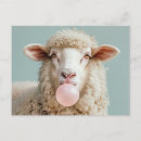 Recherche de moutons laineux Drôle