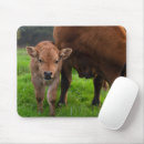 Recherche de veau vache tapis souris Bétail