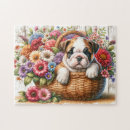 Recherche de bouledogue anglais puzzles Mignon