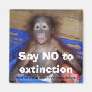 Recherche de mis en danger magnets Animaux
