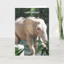Recherche de défenses vœux cartes Pachyderme