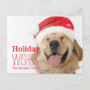 Recherche de tir de studio vœux cartes Golden retriever