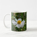 Recherche de poppy tasses Fleur sauvage